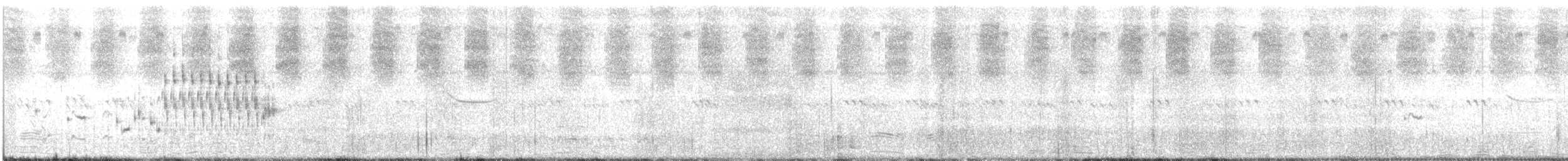Troglodyte des marais - ML521496171