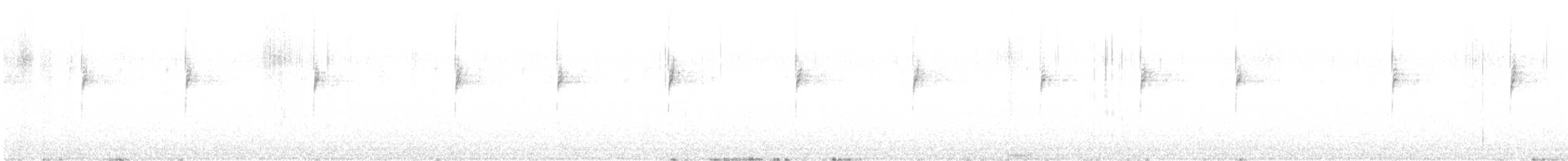 hvitkronespurv - ML521502341
