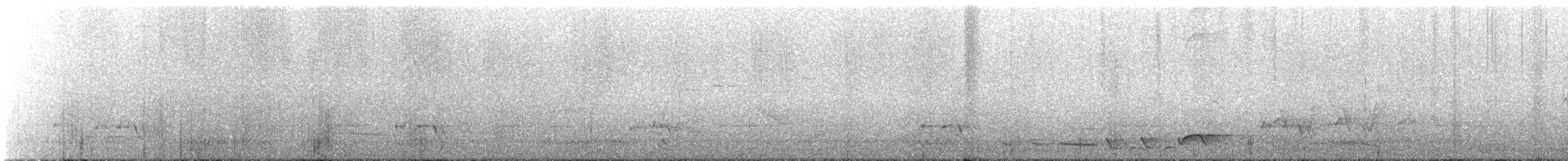 Çizgili Panterkuşu - ML521510761