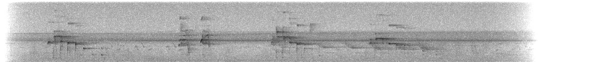 orel bělohlavý - ML52152561