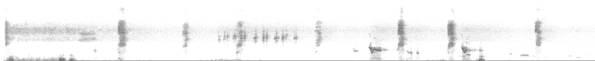 Flötenkrähenstar (dorsalis) - ML521530461
