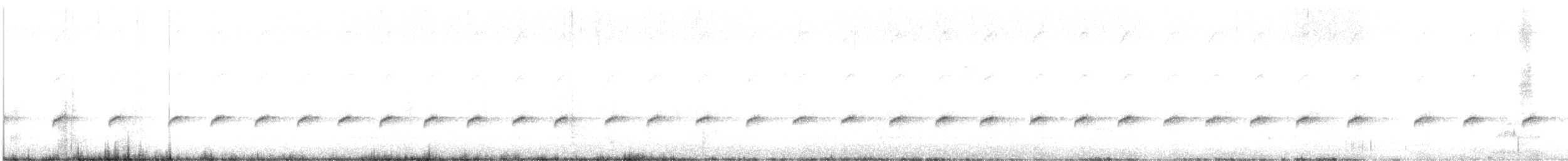 White-throated Treecreeper - ML521536121