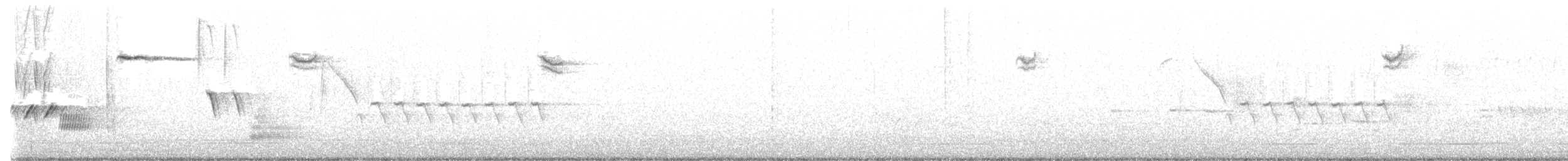 ウタスズメ - ML521562501