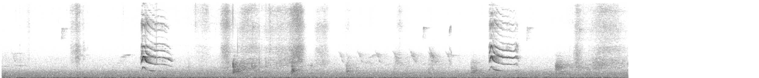 Желтобрюхий дятел-сокоед - ML521618351
