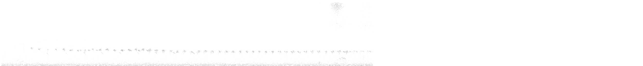 Cacholote à gorge blanche - ML521653711