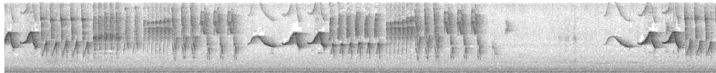 gullkronekjerrspurv (crassus) - ML521671861