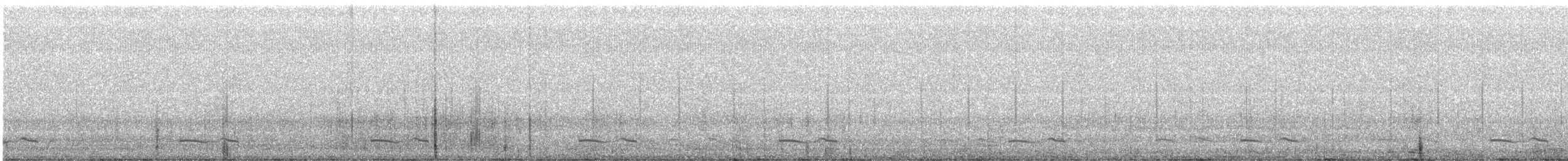 Winternachtschwalbe - ML52170551