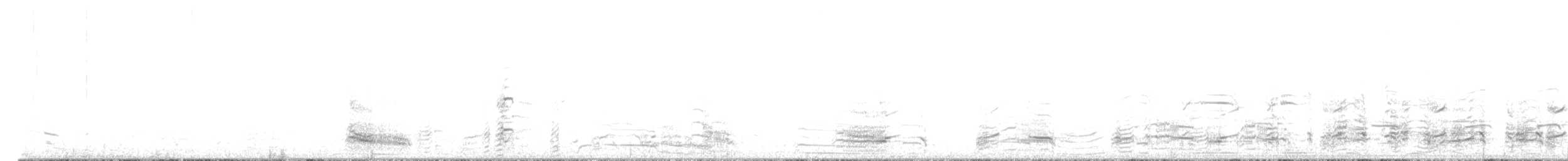 racek kroužkozobý - ML521732011