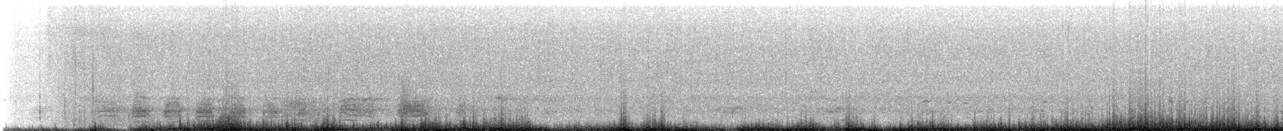 Canard noir - ML521752681