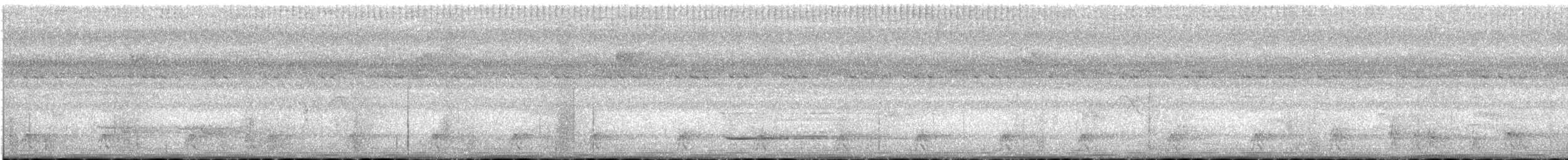 holub stromový - ML521754331