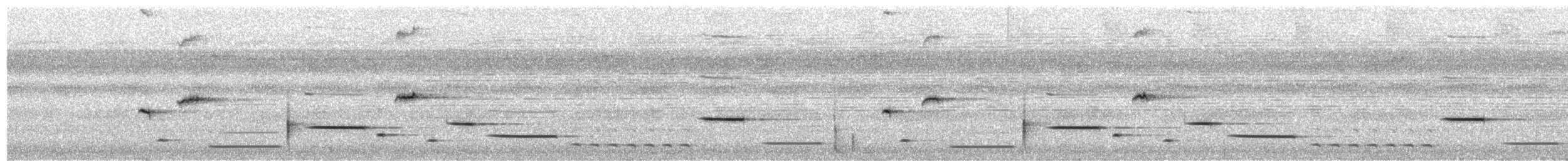Тріскопліт рудолобий (підвид griseolateralis) - ML521756411