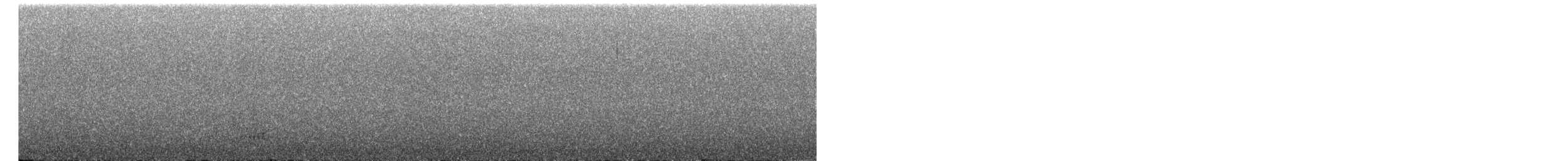Troglodyte à calotte noire - ML521763531