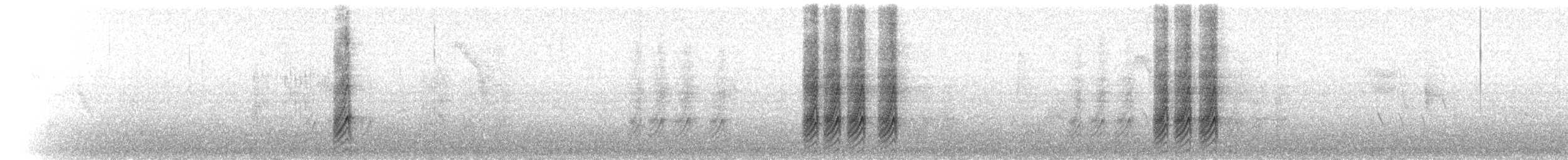 Yellow-billed Magpie - ML52178941