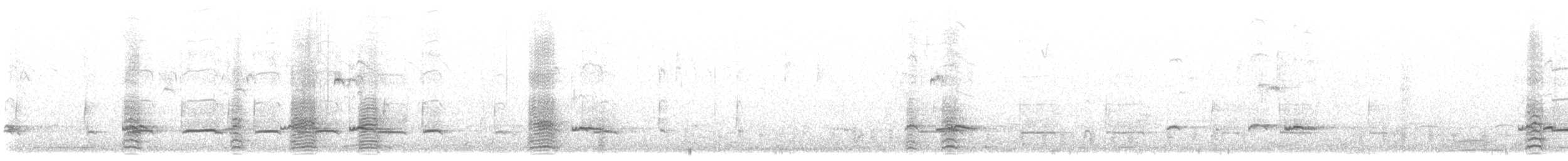 Чирок-свистунок (Евразийский) - ML521822511