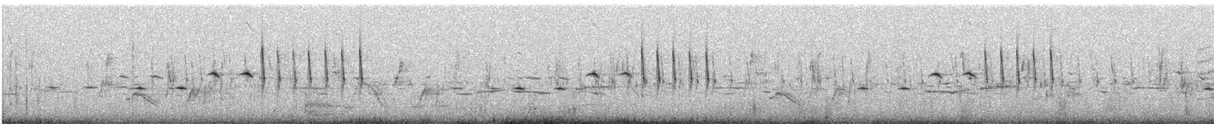 Cisticole pinc-pinc (groupe major) - ML521832761