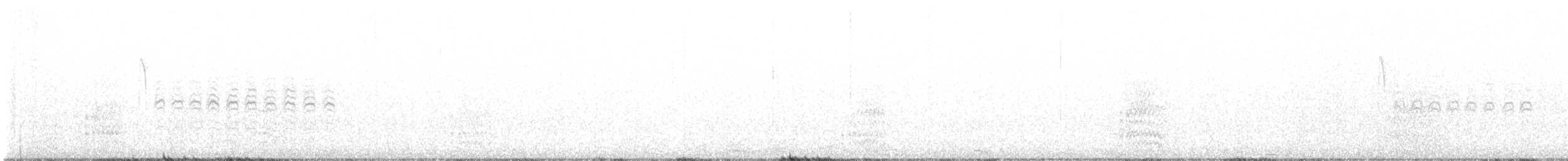 Acorn Woodpecker - ML521853781