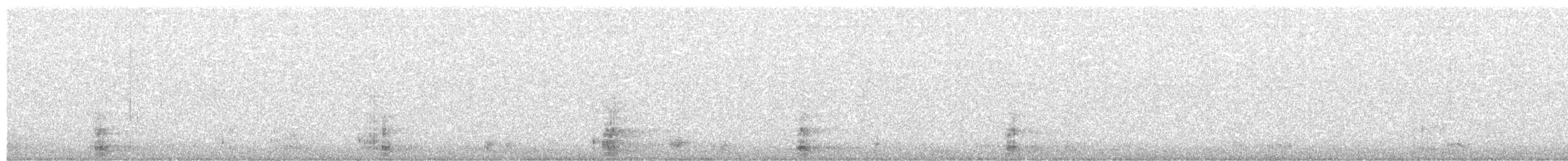 Double-crested Cormorant - ML521917491