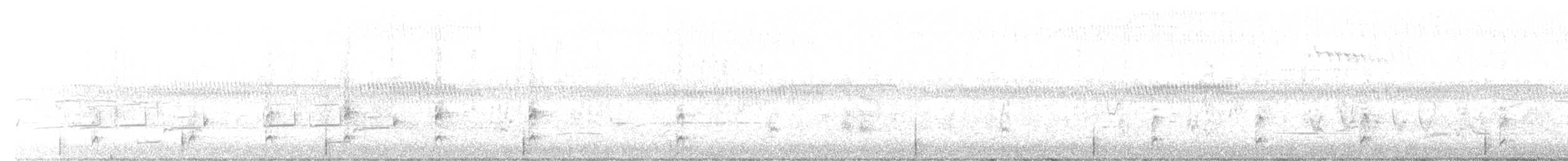 Spotless Crake - ML521939991
