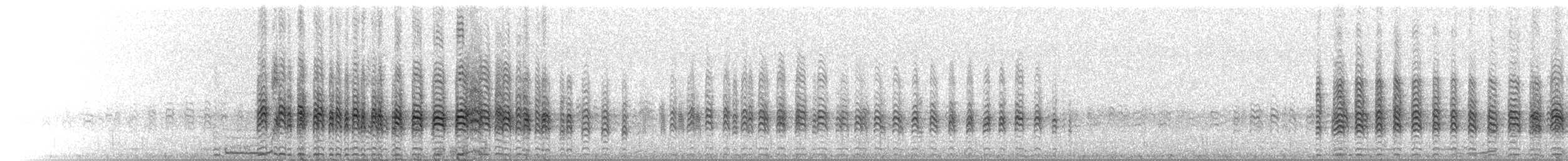 Calls - Cook's Petrel