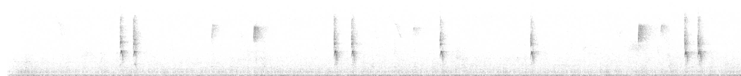střízlík kanadský - ML52199301