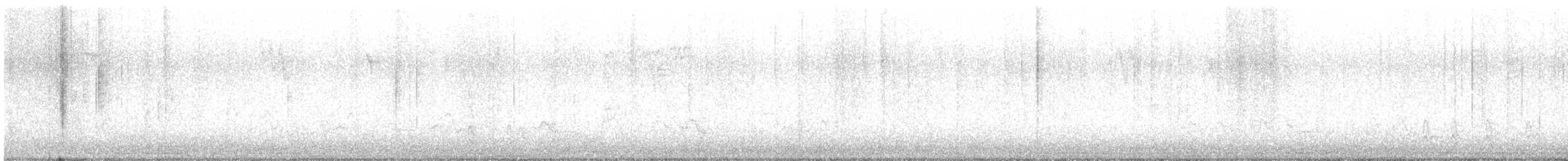 キヅタアメリカムシクイ（coronata） - ML522068381