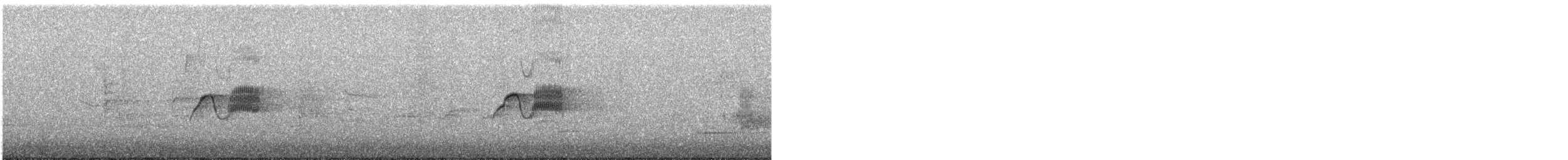 Светлобрюхий фиби - ML52211421