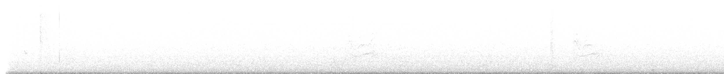 Common Redpoll - ML522160021