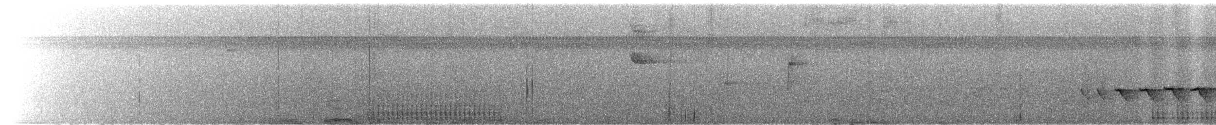Дятел-смугань сіроголовий - ML522183361