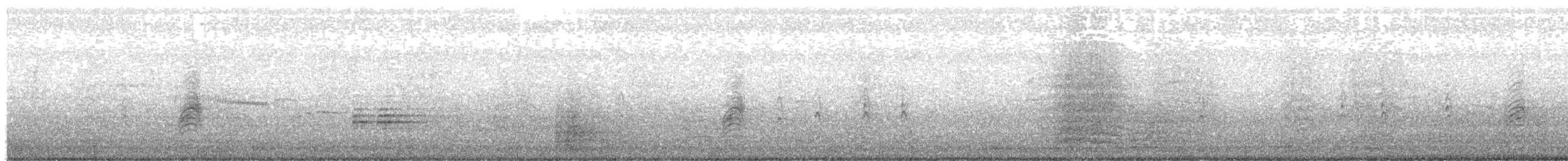 白胸燕鵙 - ML522188001