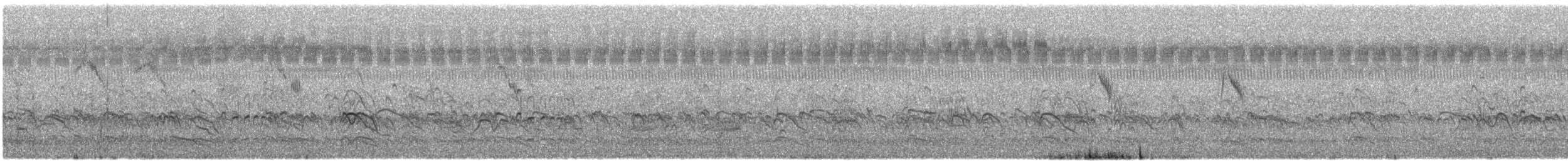 River Tern - ML522260101