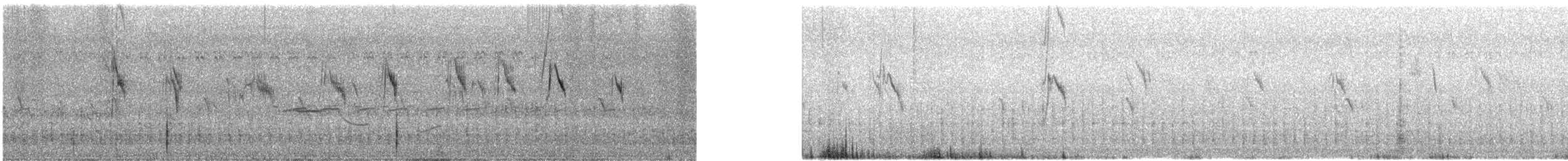 Өрнийн шар цэгцгий - ML522260721