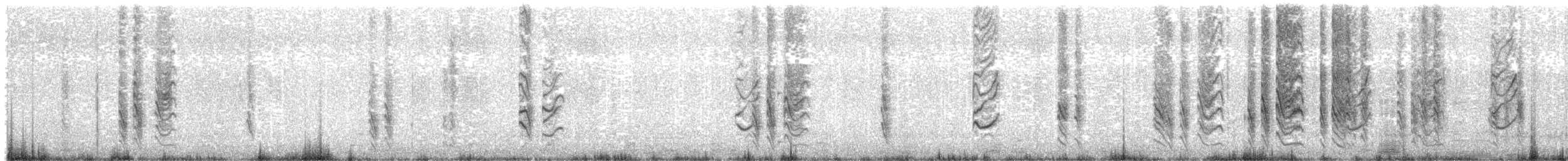 Strichelkopfstärling - ML522305001