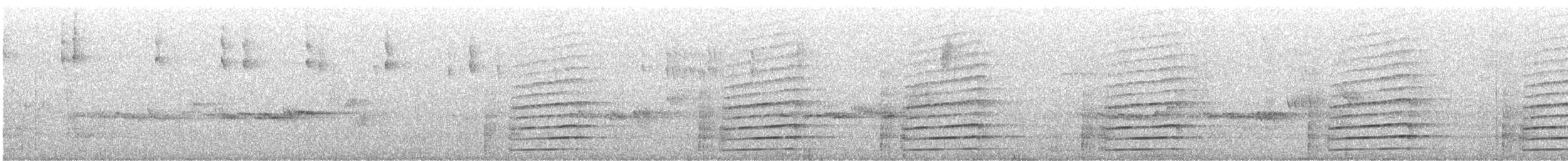 Plate-billed Mountain-Toucan - ML522329351