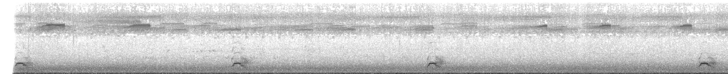 Spotless Crake - ML522355791
