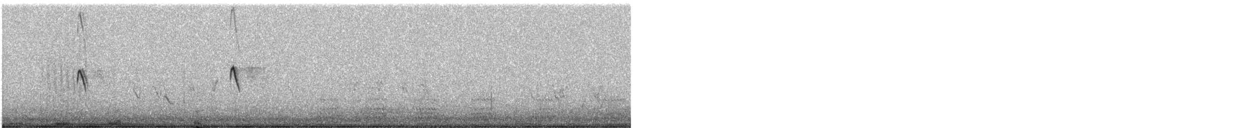 Бруант білобровий - ML522401241