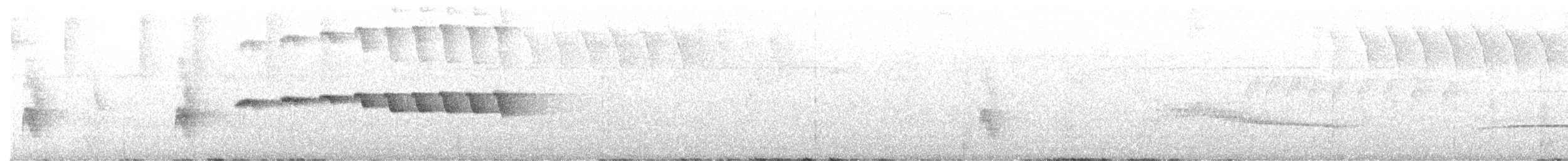 Grauscheitel-Ameisenvogel - ML522405721