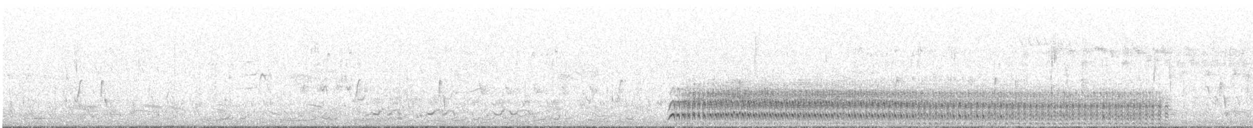 Spotless Crake - ML522461141