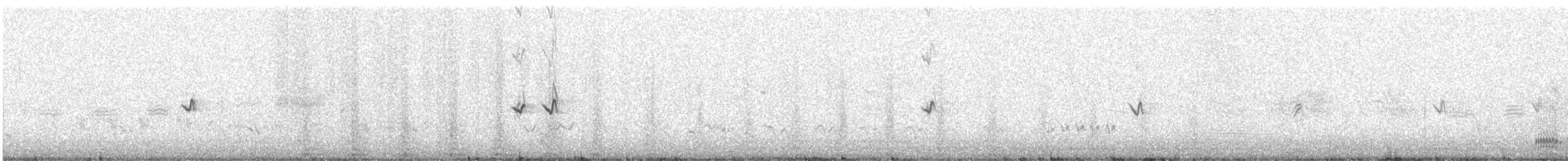 Cuervo Grande - ML522475231