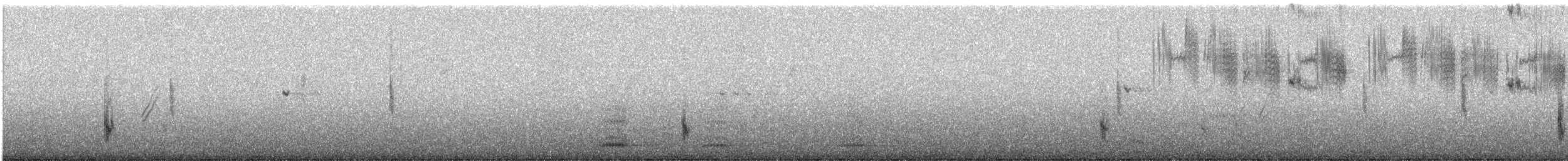 Western Meadowlark - ML522475291