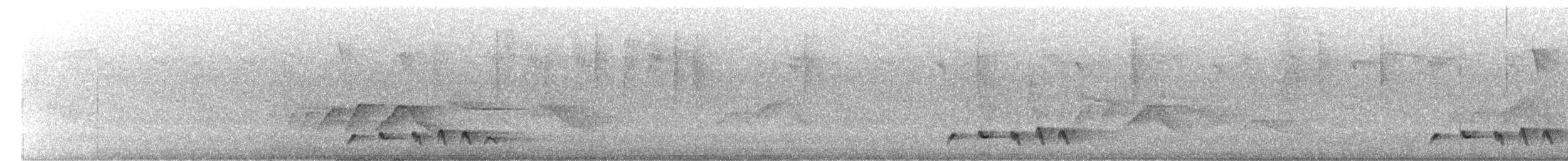 Lesser Cuckoo - ML522481041