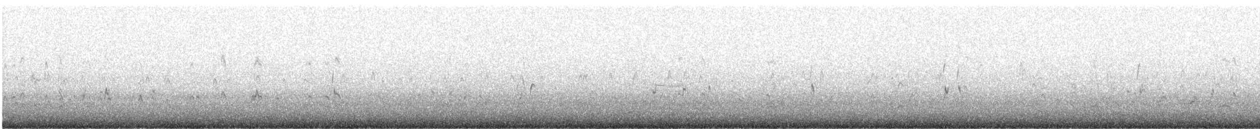 Bécasseau sanderling - ML522487701