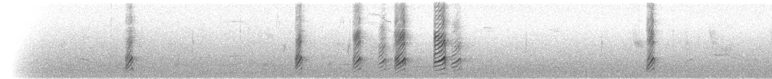 Yellow-billed Magpie - ML52249251