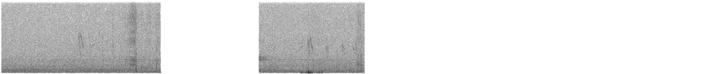 Paddyfield Pipit - ML522517981