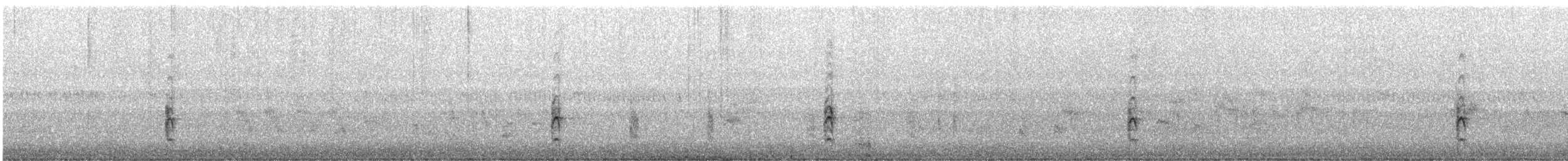 Spotless Crake - ML522523011