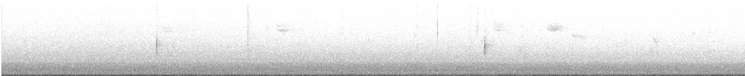 Kronenwaldsänger (coronata) - ML522540671