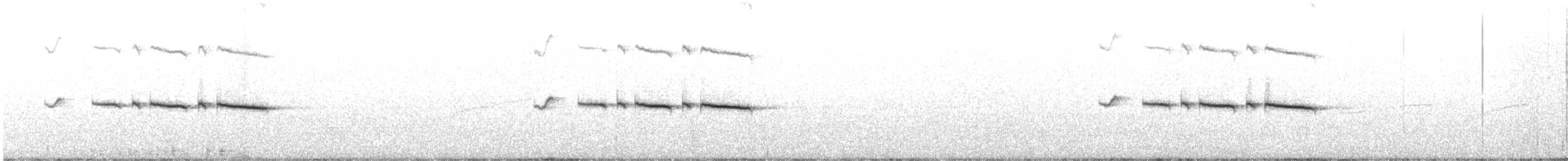 Locustelle du Kinabalu - ML522570011