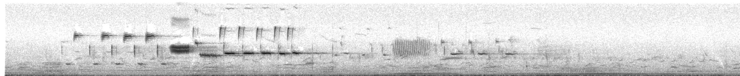 Song Sparrow - ML52257151