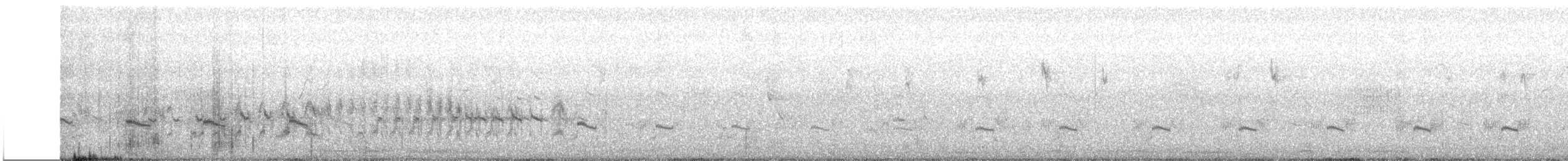 Little Ringed Plover (dubius/jerdoni) - ML522577311