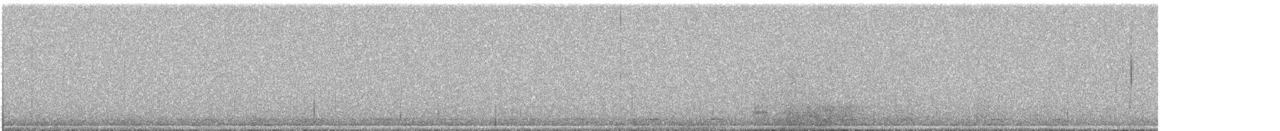 Northern Saw-whet Owl - ML522612351