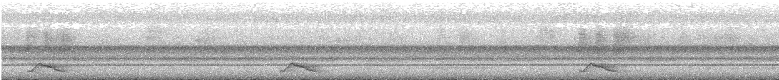 Pauraquenachtschwalbe - ML522634461